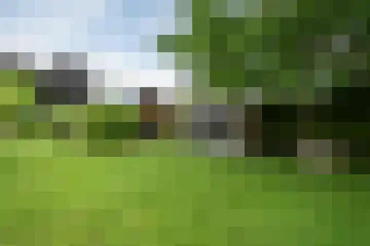 Achterweg 77 Acquoy thumbnail 33