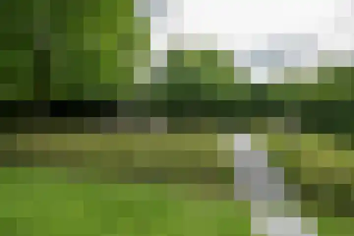 Achterweg 77 Acquoy thumbnail 34