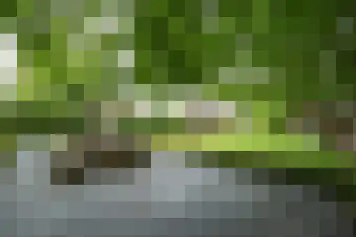 Achterweg 77 Acquoy thumbnail 36