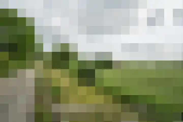 Achterweg 77 Acquoy thumbnail 40