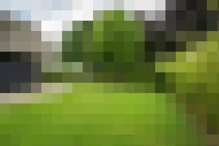 Achterweg 77 Acquoy thumbnail 44