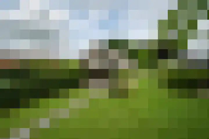 Achterweg 77 Acquoy thumbnail 5