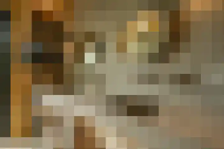 Achterweg 77 Acquoy thumbnail 55