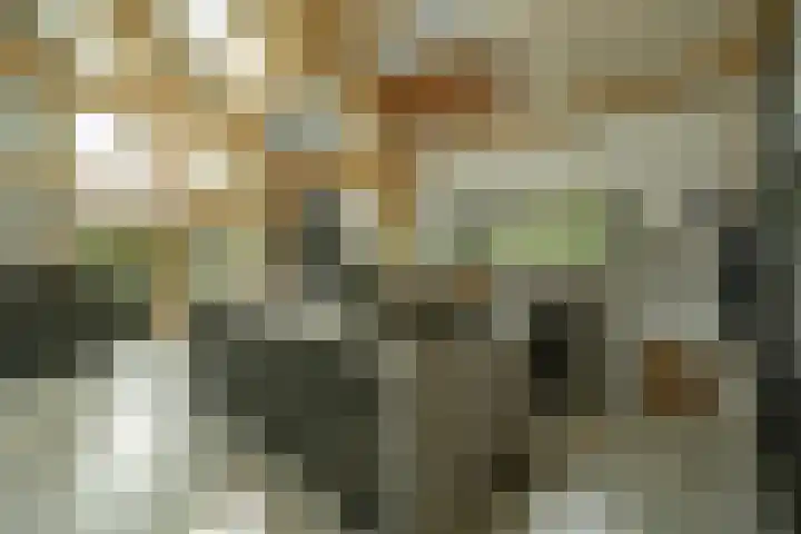 Achterweg 77 Acquoy thumbnail 63