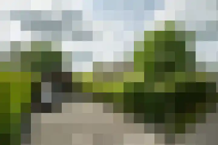 Achterweg 77 Acquoy thumbnail 7