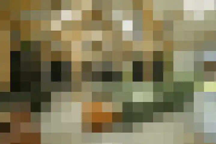 Achterweg 77 Acquoy thumbnail 72