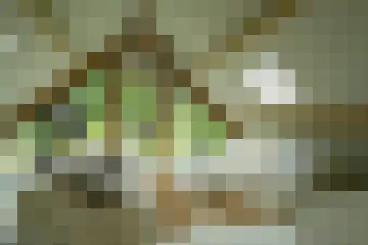Achterweg 77 Acquoy thumbnail 86