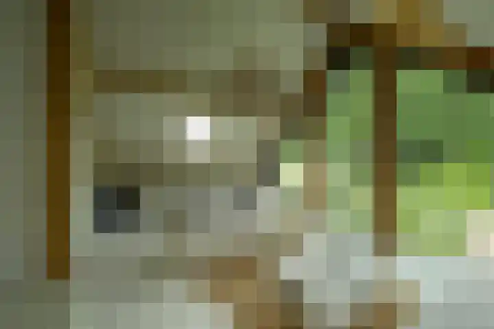 Achterweg 77 Acquoy thumbnail 87