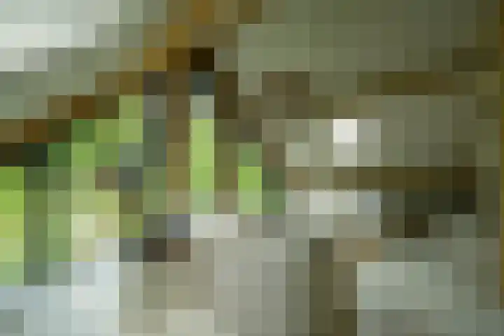 Achterweg 77 Acquoy thumbnail 88