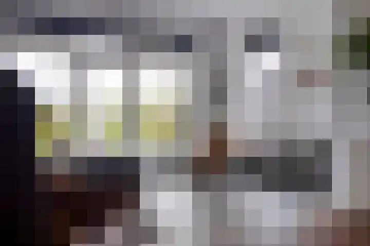 Achterweg 80 Hekelingen thumbnail 12