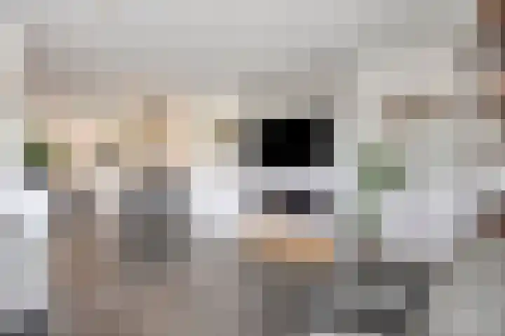 Achterweg 80 Hekelingen thumbnail 13
