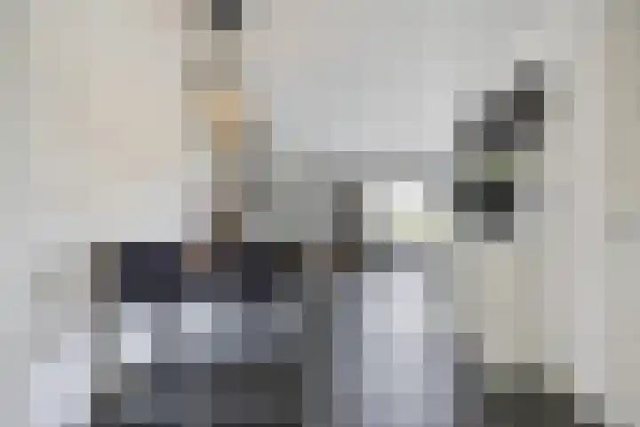 Achterweg 80 Hekelingen thumbnail 14