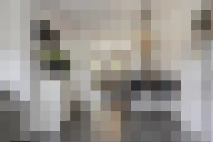 Achterweg 80 Hekelingen thumbnail 15