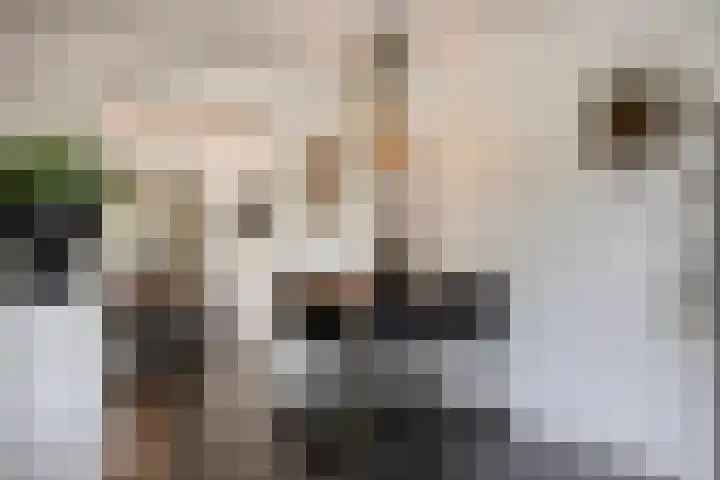 Achterweg 80 Hekelingen thumbnail 17