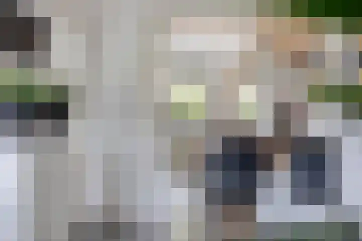 Achterweg 80 Hekelingen thumbnail 18