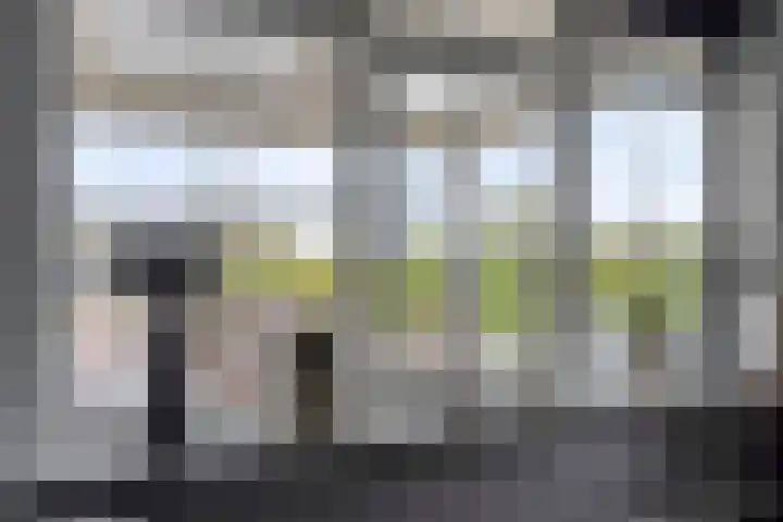 Achterweg 80 Hekelingen thumbnail 20