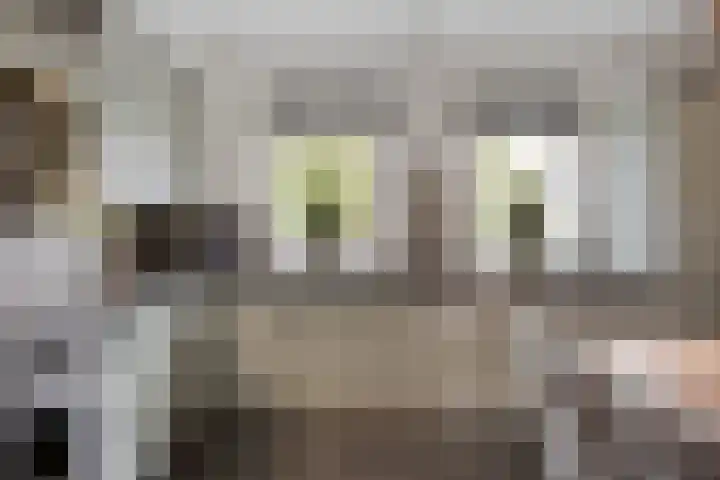 Achterweg 80 Hekelingen thumbnail 23