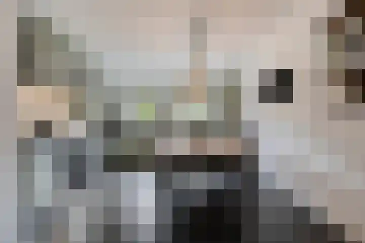 Achterweg 80 Hekelingen thumbnail 25