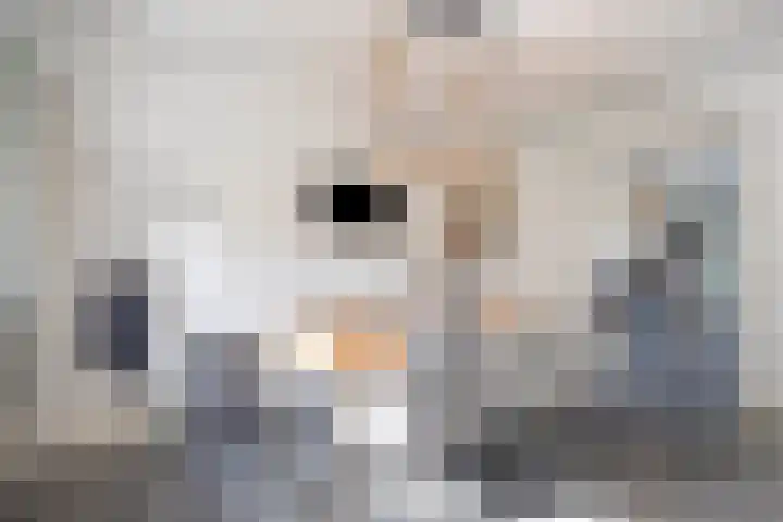 Achterweg 80 Hekelingen thumbnail 26