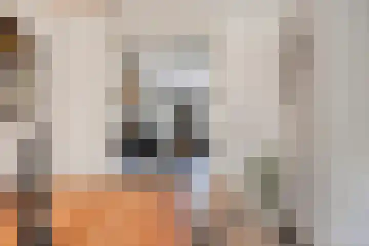 Achterweg 80 Hekelingen thumbnail 27