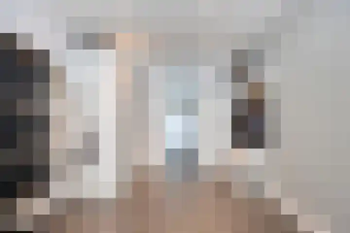 Achterweg 80 Hekelingen thumbnail 30