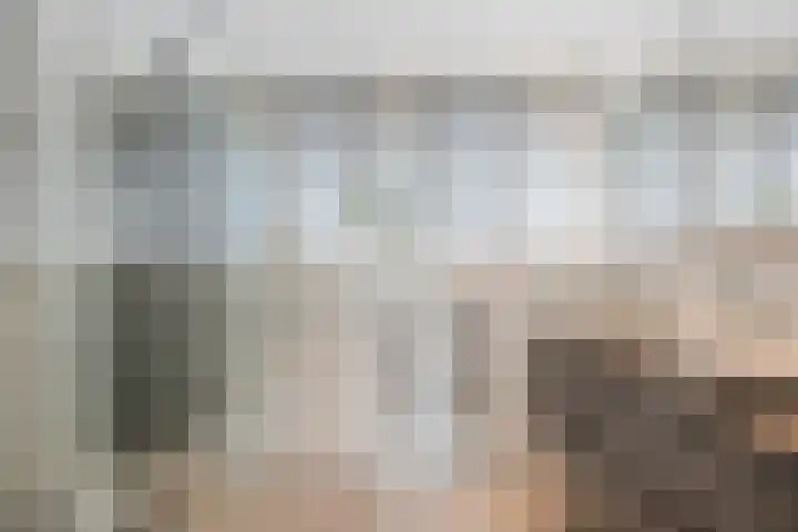 Achterweg 80 Hekelingen thumbnail 32