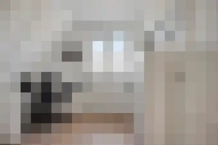 Achterweg 80 Hekelingen thumbnail 38