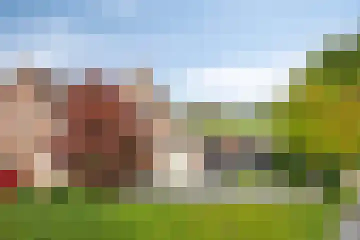 Achterweg 80 Hekelingen thumbnail 4