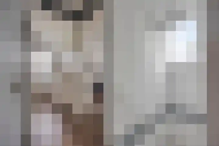 Achterweg 80 Hekelingen thumbnail 41
