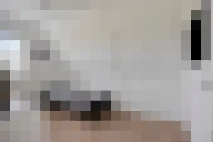 Achterweg 80 Hekelingen thumbnail 43