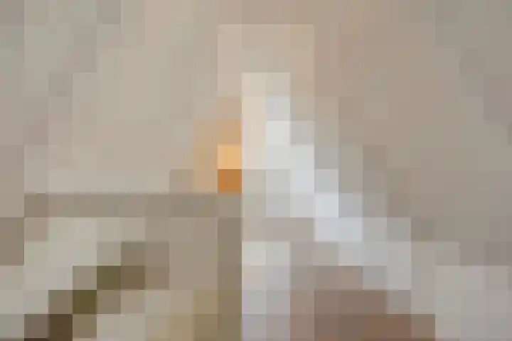 Achterweg 80 Hekelingen thumbnail 47