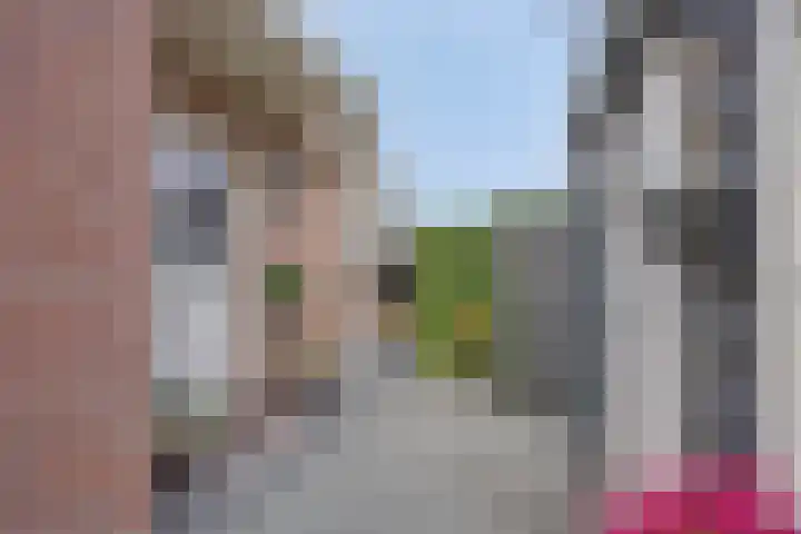 Achterweg 80 Hekelingen thumbnail 52