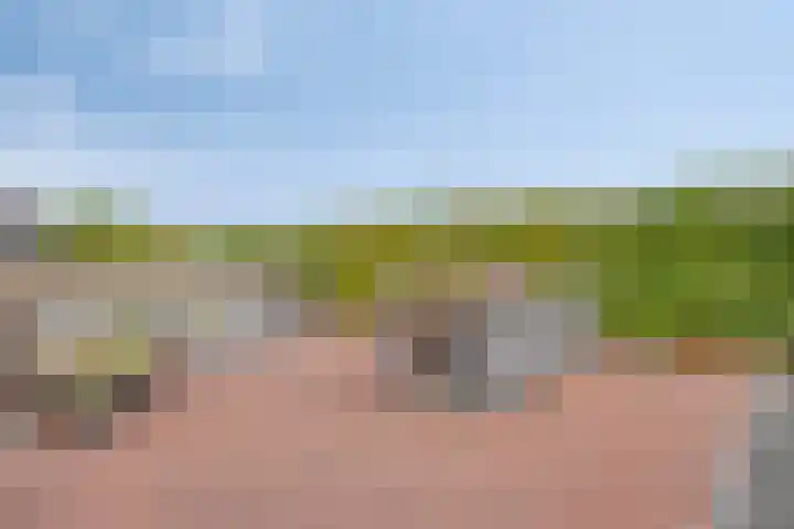 Achterweg 80 Hekelingen thumbnail 56