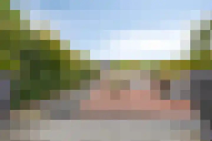 Achterweg 80 Hekelingen thumbnail 57