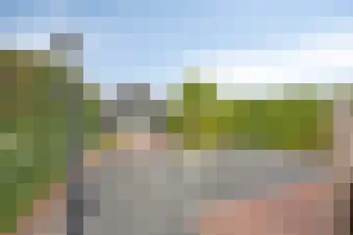 Achterweg 80 Hekelingen thumbnail 58