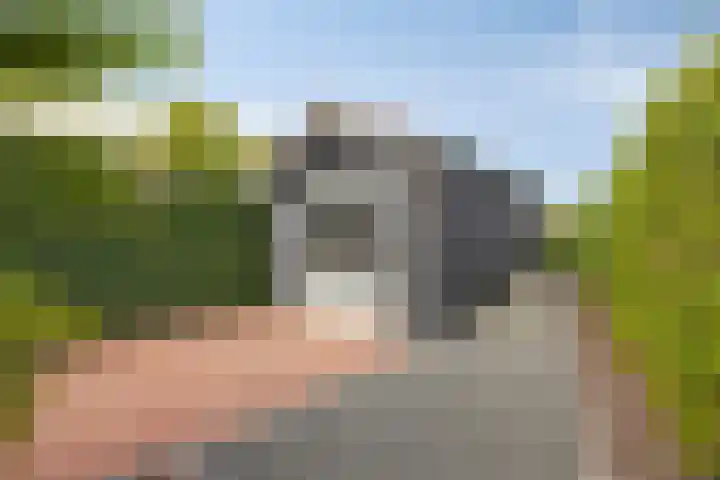Achterweg 80 Hekelingen thumbnail 59