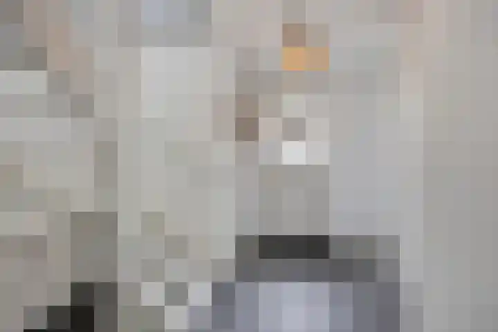 Achterweg 80 Hekelingen thumbnail 6