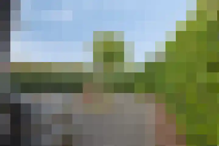 Achterweg 80 Hekelingen thumbnail 60
