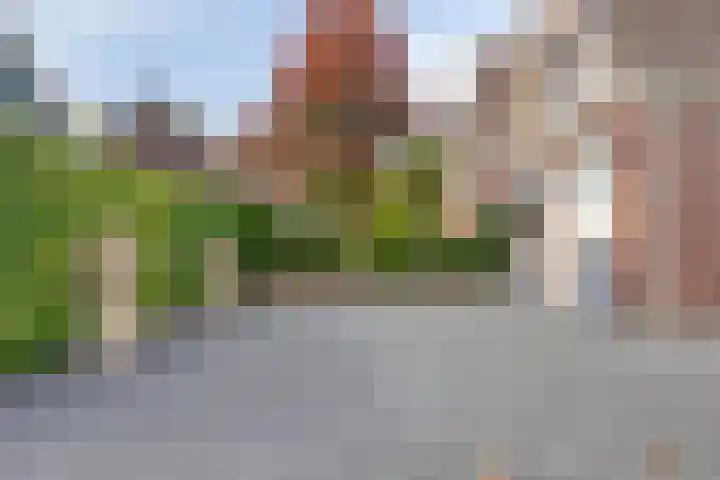 Achterweg 80 Hekelingen thumbnail 61