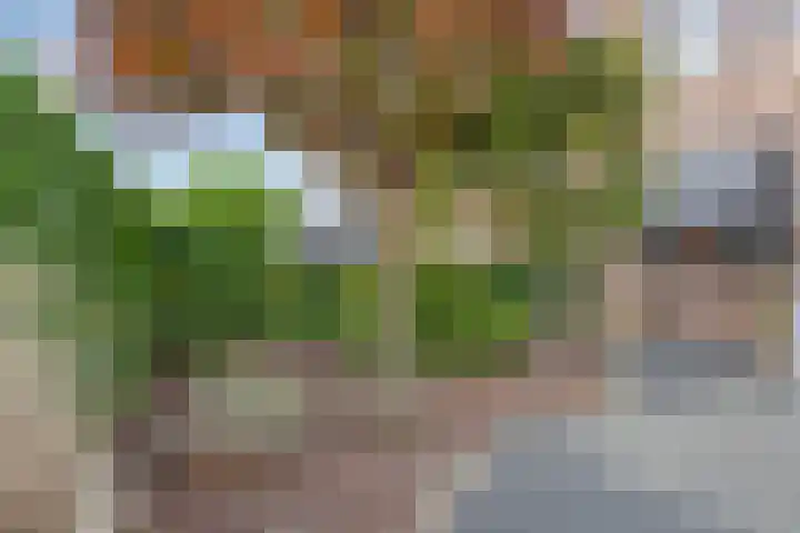 Achterweg 80 Hekelingen thumbnail 62