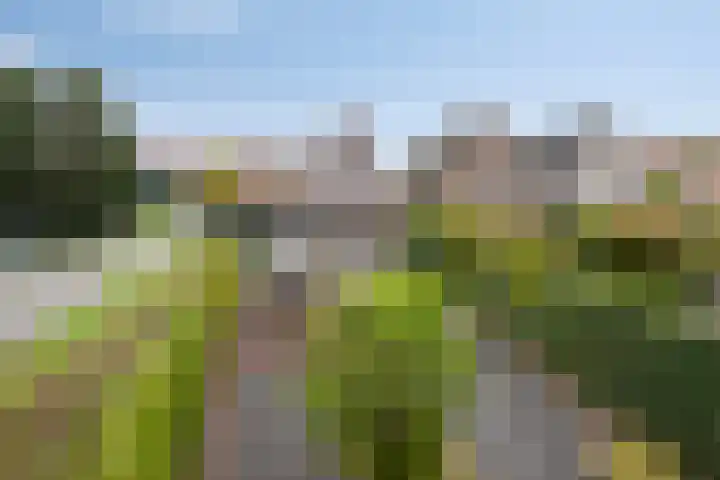Achterweg 80 Hekelingen thumbnail 63