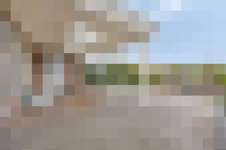 Achterweg 80 Hekelingen thumbnail 65