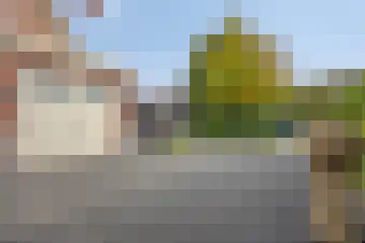 Achterweg 80 Hekelingen thumbnail 66