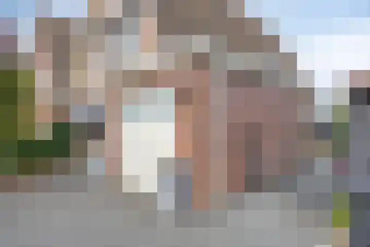 Achterweg 80 Hekelingen thumbnail 67