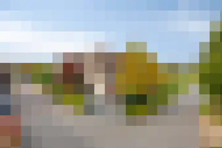 Achterweg 80 Hekelingen thumbnail 70