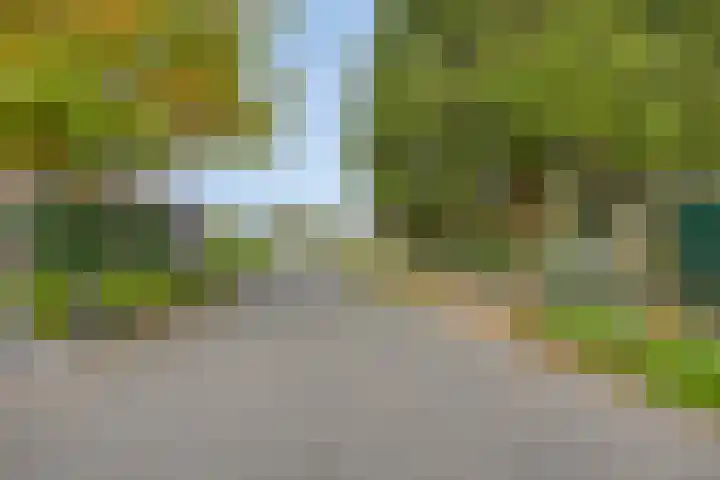 Achterweg 80 Hekelingen thumbnail 71