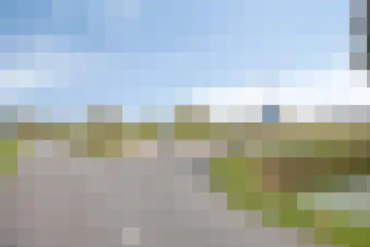 Achterweg 80 Hekelingen thumbnail 73