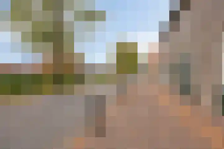 Achterweg 80 Hekelingen thumbnail 74