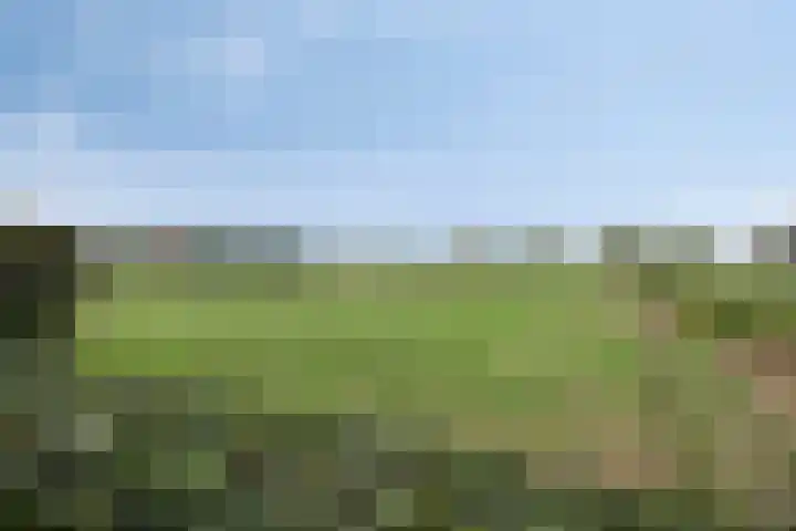Achterweg 80 Hekelingen thumbnail 75