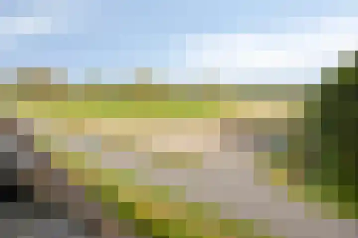 Achterweg 80 Hekelingen thumbnail 76
